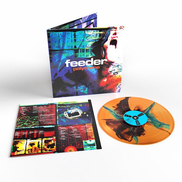 ***FEEDER (POLYTHENE) - Pre Order Info - Out 20/11/26***