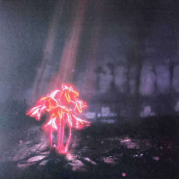 Enter Shikari – A Kiss For The Whole World