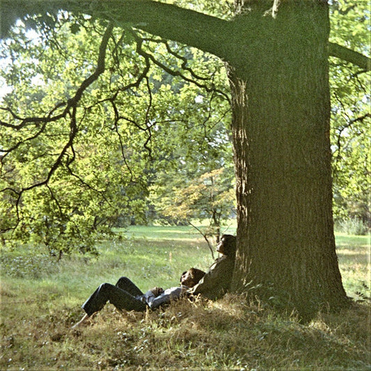John Lennon / Plastic Ono Band* - John Lennon / Plastic Ono Band