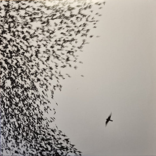 Wilco - Sky Blue Sky