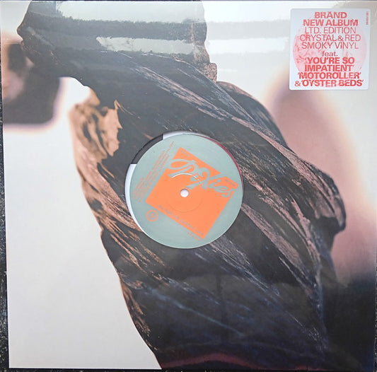 Pixies - The Night The Zombies Came