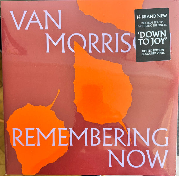 Van Morrison – Remembering Now