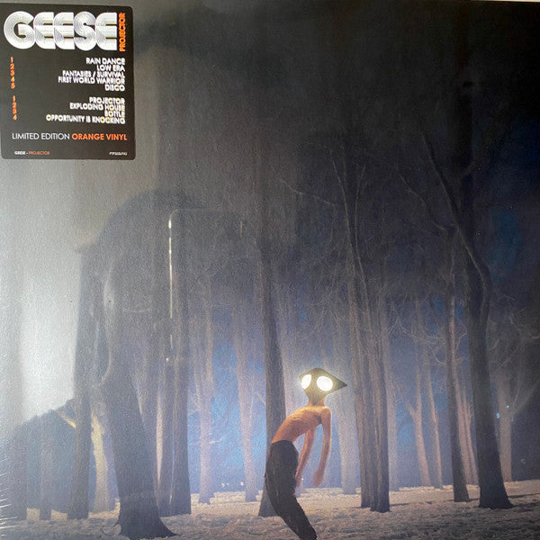 Geese  - Projector